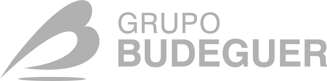 Logo Grupo Budeguer